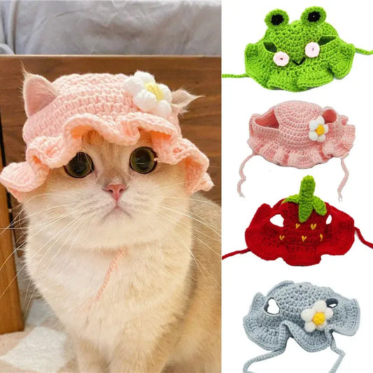 Cute Pet Hat