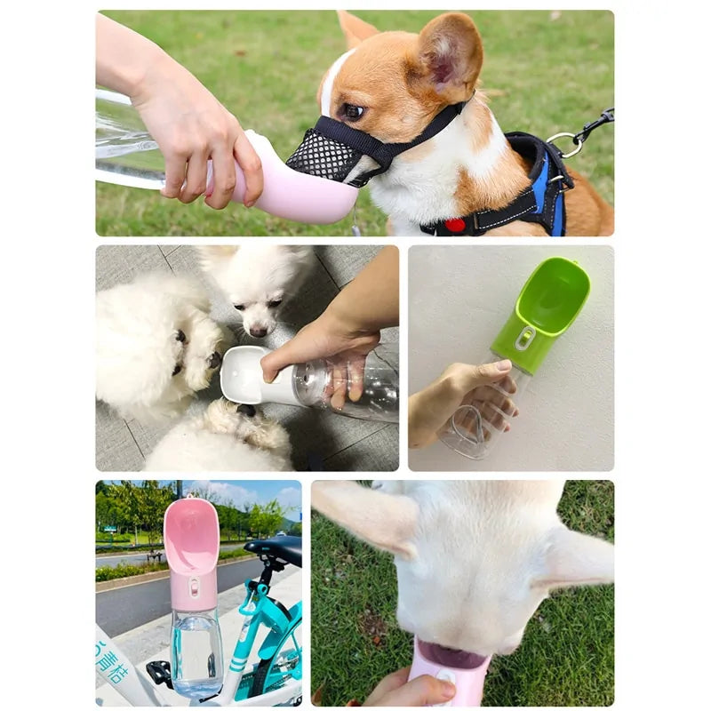 Pet Water & Food Bottle