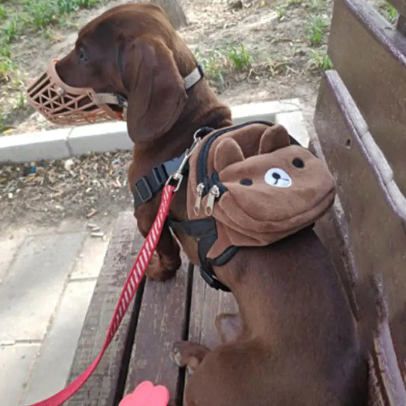 Backpack for Pets