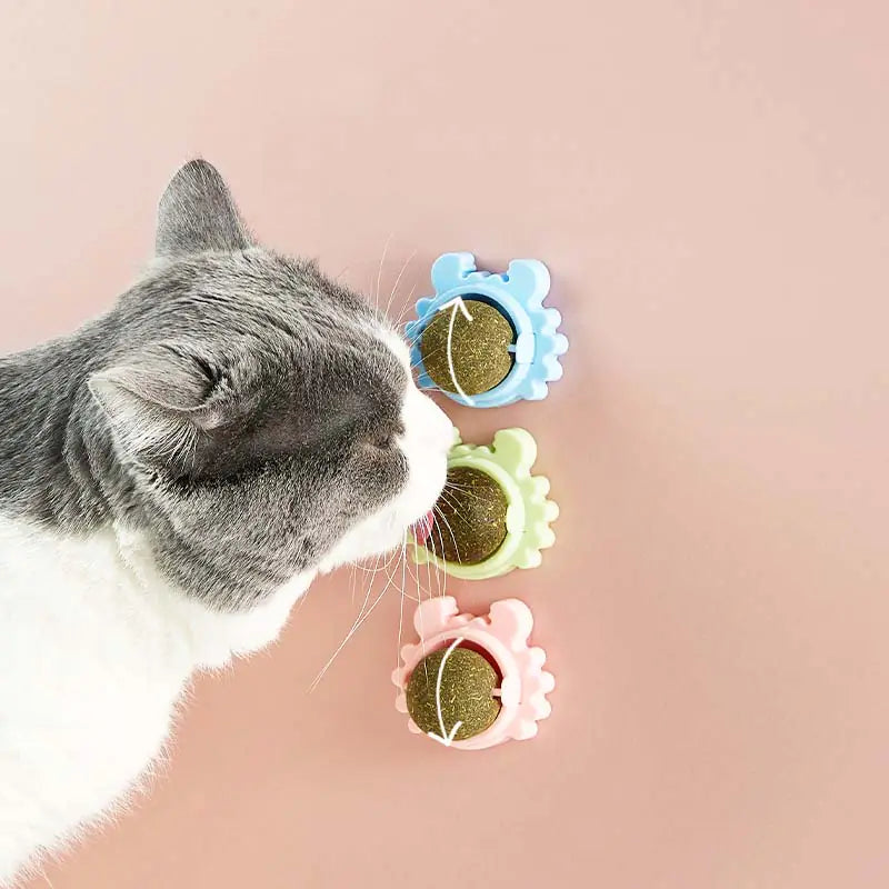 Cat Catnip Ball Toy